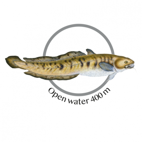 Laka (lørdag 20.juni)