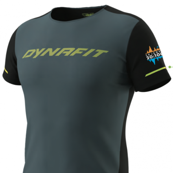 DYNAFIT Alpine 2 t-shirt herre INFO