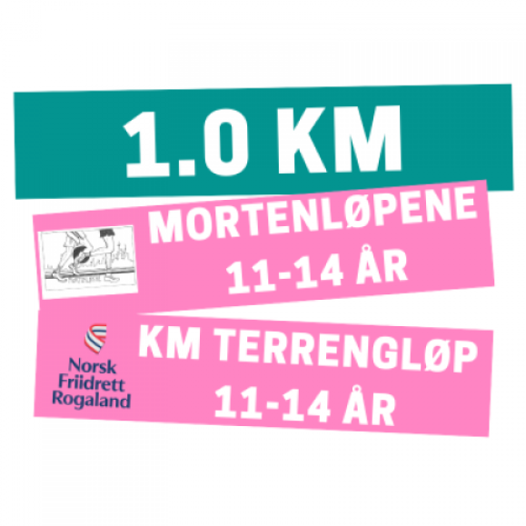 Terrengløp mini2 1.020m